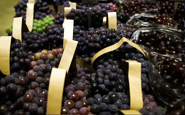 BNDES APROVA  R$ 1,2  PARA EMPRESAS AFETADAS PELO TARIFAÇO DE TRUMP.